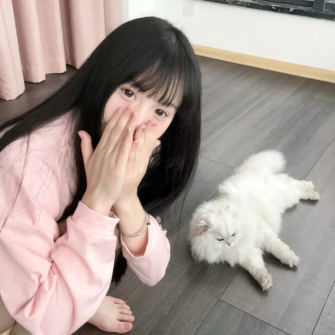 神台猫粤语